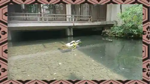 金刀比羅神社(東京都)