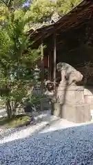 川越氷川神社の狛犬