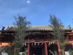 浅草神社の本殿