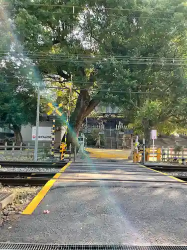 沢田八幡神社(大阪府)