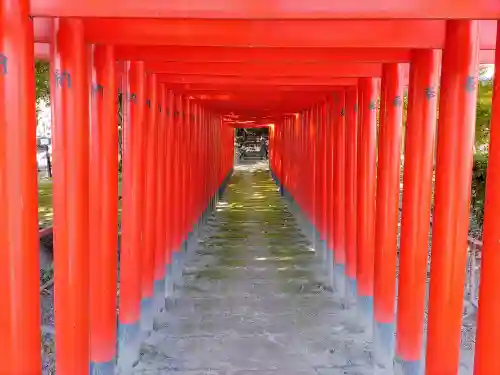 愛宕社（朝日）の鳥居