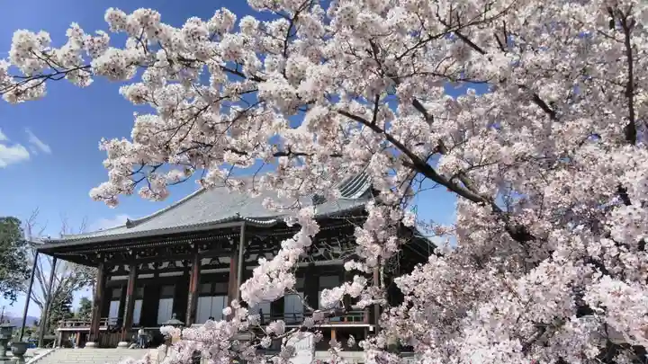 くろ谷 金戒光明寺のその他建物