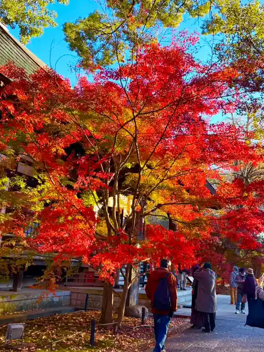 淨眞寺(東京都)