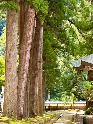 永平寺(福井県)