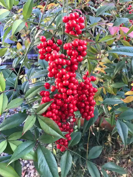 行願寺(革堂)(京都府)