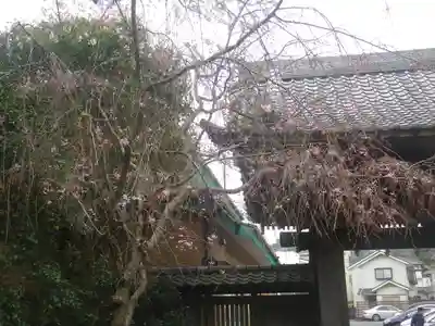 長勝寺のその他建物