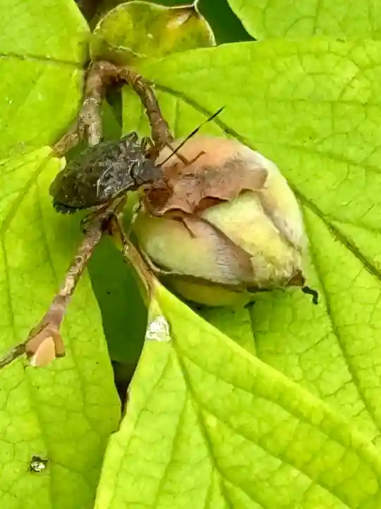 天得院(京都府)