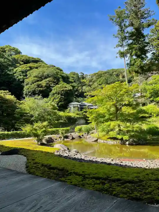 円覚寺の{uncategorized: "未分類", other: "その他", undefined: "問題あり", building: "その他建物", grave: "お墓", sacred_gate: "鳥居", guardian: "狛犬", statue: "像", buddha: "仏像", history: "歴史", nature: "自然", garden: "庭園", animal: "動物", pagoda: "塔", temizu: "手水舎", mountain_gate: "山門・神門", sanctuary: "本殿・本堂", subordinate: "末社・摂社", art: "芸術", scenery: "景色", jizo: "地蔵", ema: "絵馬", goshuin: "御朱印", omikuji: "おみくじ", items: "授与品その他", amulet: "お守り", goshuincho: "御朱印帳", eats: "食事", festival: "お祭り", votive_dance: "神楽", shichigosan: "七五三参", wedding: "結婚式", experience: "体験その他", initially: "初詣", around: "周辺", anti_infection: "感染症対策"}