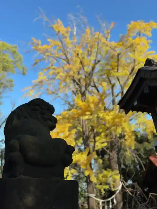 多摩川浅間神社(東京都)