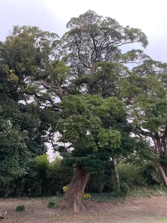 感応寺(千葉県)