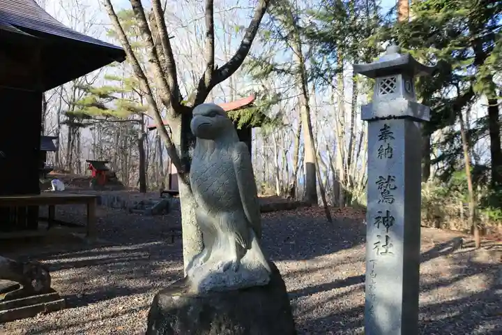 鷲神社の狛犬