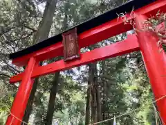 乙姫神社の鳥居