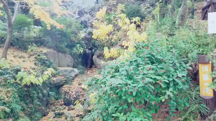 弁財天社の自然