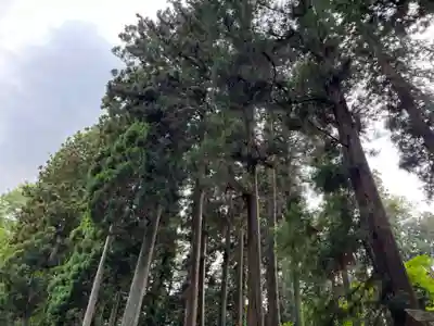 大宮温泉神社(栃木県)
