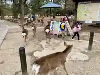 興福寺(奈良県)