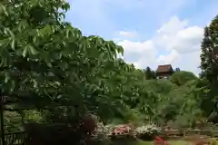 吉水神社の庭園