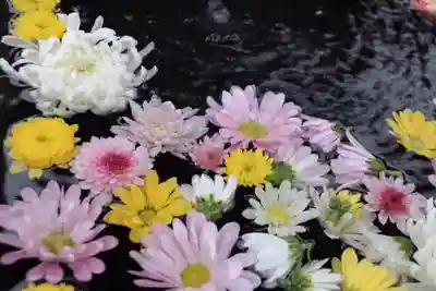 大鏑神社の手水舎
