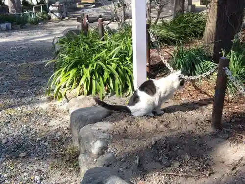 勧学寺(三重県)