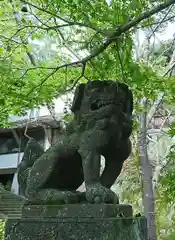 菊池神社の狛犬