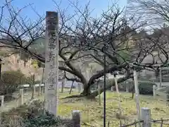 長徳寺の自然