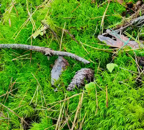 蚊里田八幡宮(長野県)