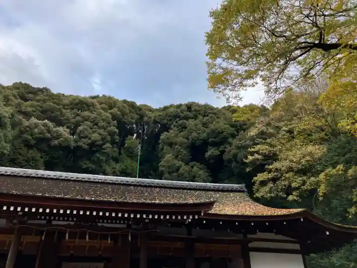 宇治上神社(京都府)