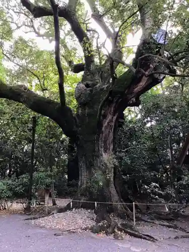 月夜見宮（豊受大神宮別宮）の自然