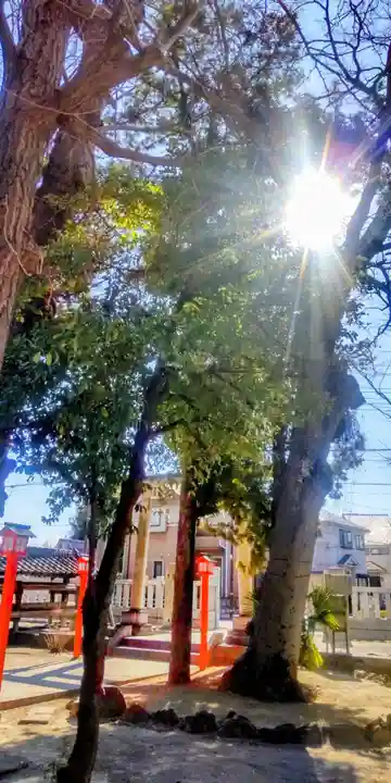 氷川神社(東京都)