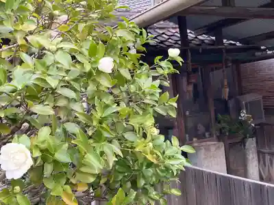 八正寺(兵庫県)