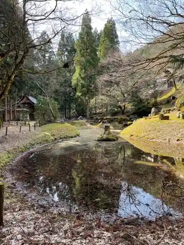 常照皇寺の庭園