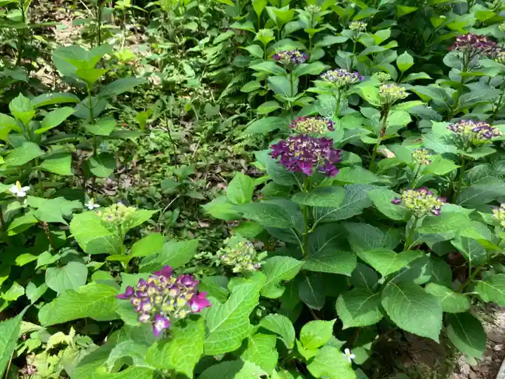 長命寺(東京都)