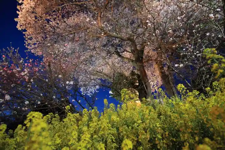 天神さまの祠の自然