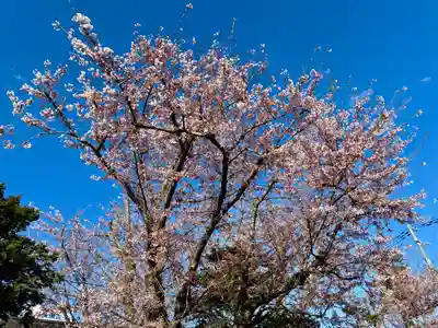苗穂神社(北海道)