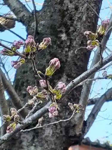 伏木香取神社の自然