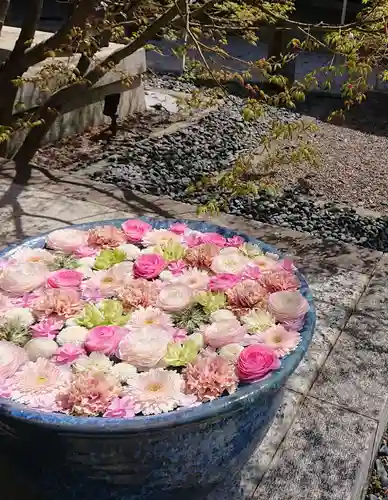 行田八幡神社(埼玉県)