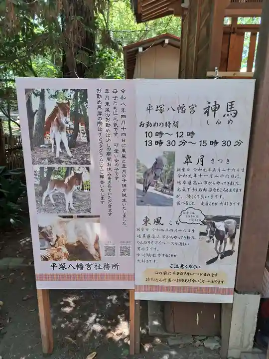 平塚八幡宮(神奈川県)