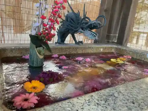 札幌諏訪神社の手水舎