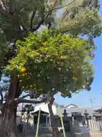 深江稲荷神社(大阪府)