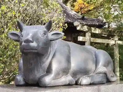 岡崎天満宮の狛犬