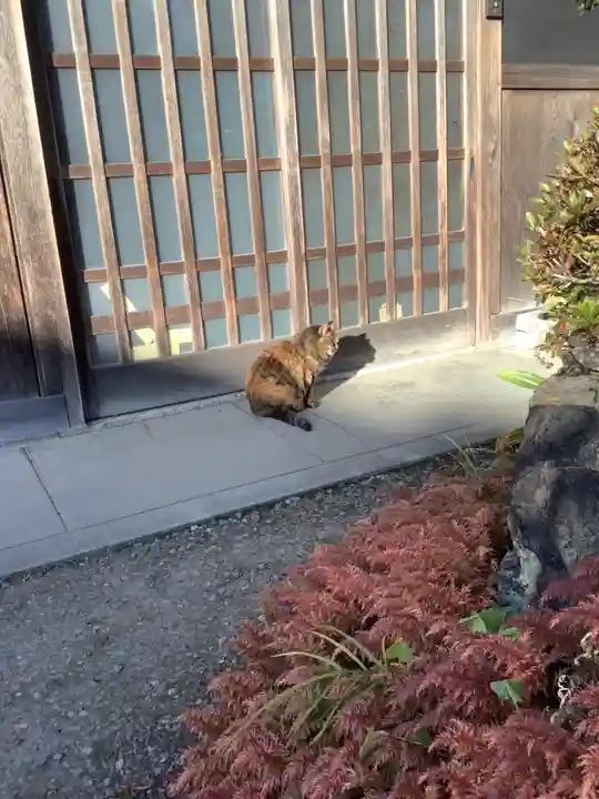 矢合観音の動物