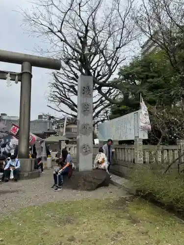 浅草神社の鳥居