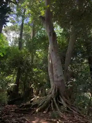 三輪神社(千葉県)
