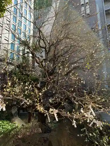 御霊神社(大阪府)