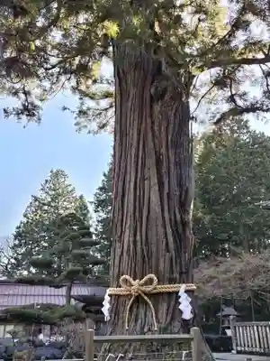 北口本宮冨士浅間神社(山梨県)