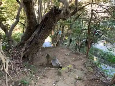 金比羅神社の自然