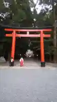 霧島神宮の鳥居