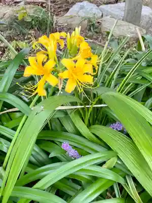 勧修寺(京都府)