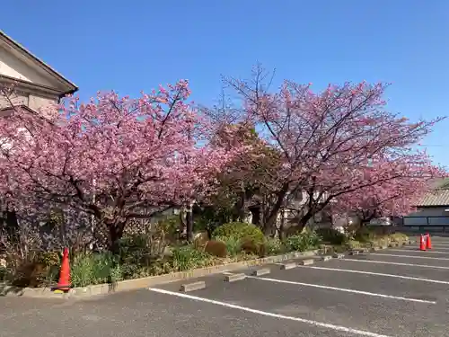 善福寺(神奈川県)