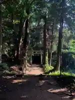 八幡大神の鳥居