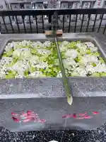 高円寺氷川神社(東京都)